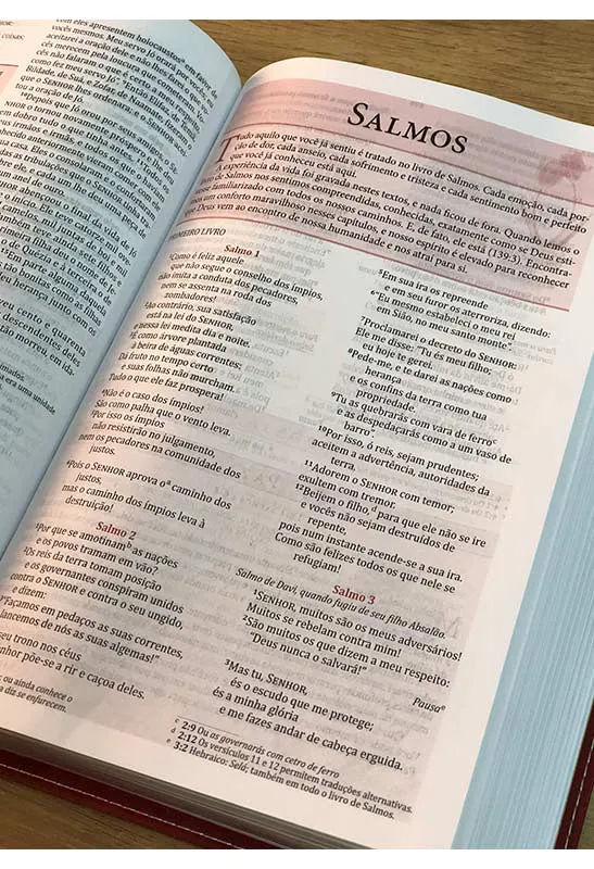 BÍBLIA DA MULHER DE FÉ, NVI, COURO SOFT, VERMELHO